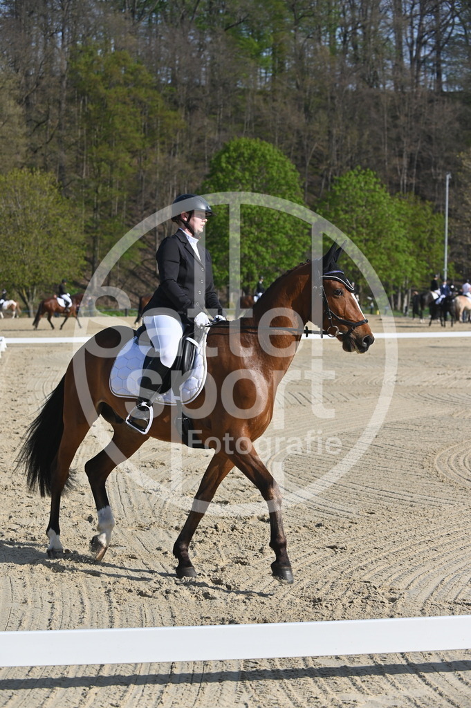 DSC_9960 | sattelsport - Realisiert mit Pictrs.com