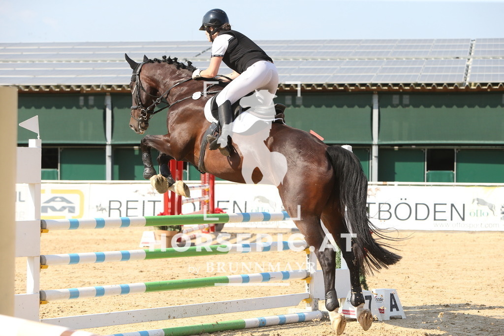 DL2Q2068 | Willkommen bei Brunnmayr - Design & Fotografie – Ihrem Spezialisten für Reitturniere und Pferdeveranstaltungen in Oberösterreich, Salzburg und Bayern! Seit über 17 Jahren sind wir leidenschaftlich dabei.