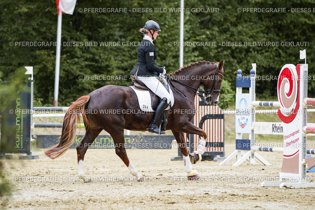 DSC02694 | Pferdegrafie