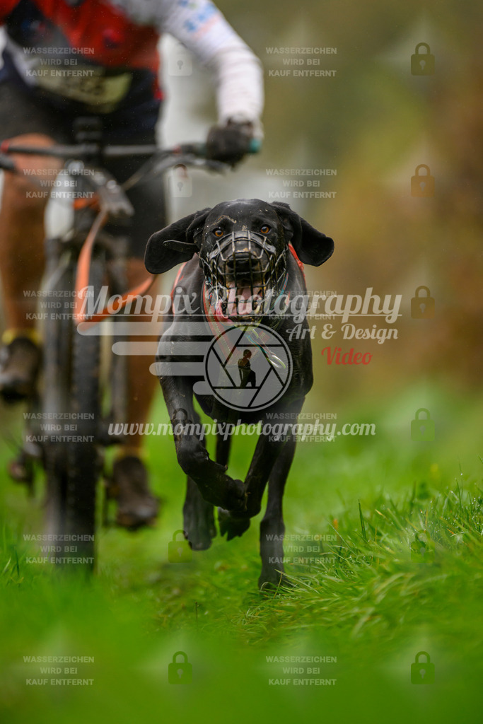 MompixPhotography_20TSB_E8_Bike-65 | PayLife