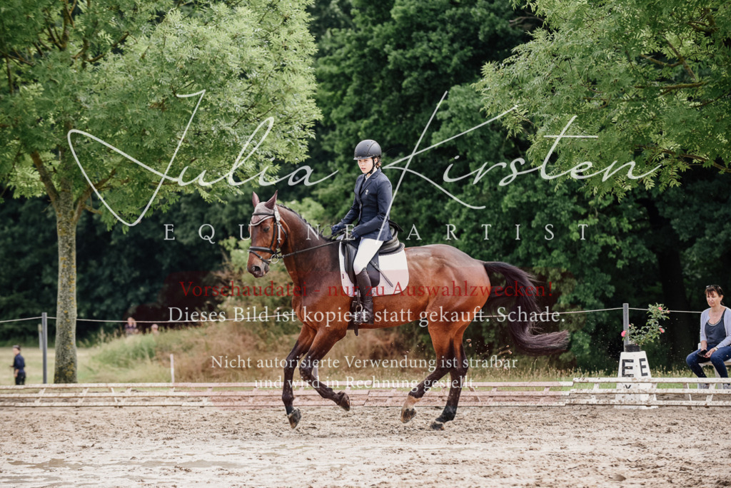 DSC_9613 | Pferde- und Turnierfotografie in Westsachsen. Pferdeportraits, Auftragszeichnungen und intuitive Kunst.