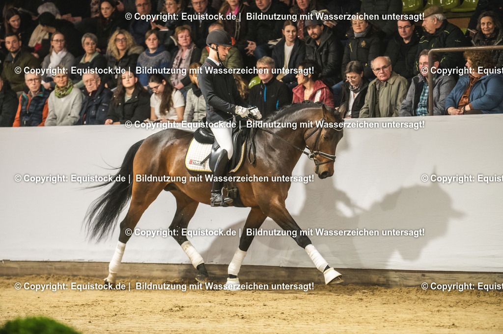 20240302_Hengstvorstellung_Marbach_TOMsPiC_0125-2 | equistock