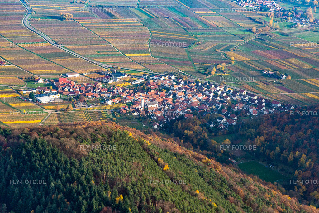Winzerort aus Westen | Luftbild: Winzerort aus Westen in Eschbach im Bundesland Rheinland-Pfalz in Deutschland. Foto: IMG_085158.jpg vom 08.11.2015 durch Werner Riehm/FLY-FOTO.de - Realisiert mit Pictrs.com