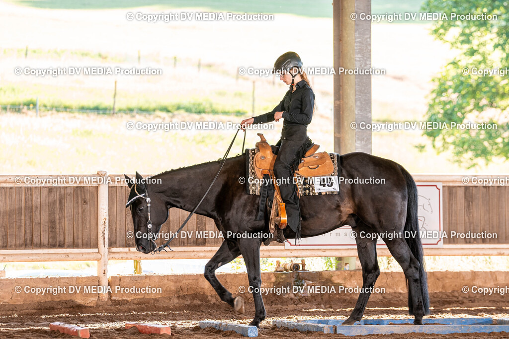 Erbach Tag 2-80 | dv-media-shop - Realisiert mit Pictrs.com