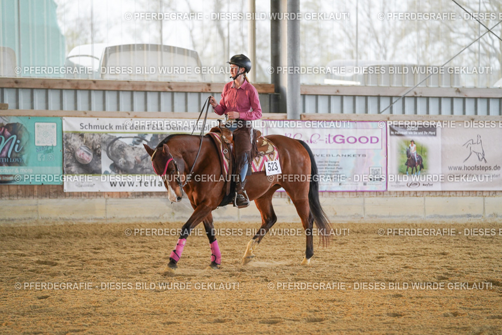 DSC08879 | Pferdegrafie