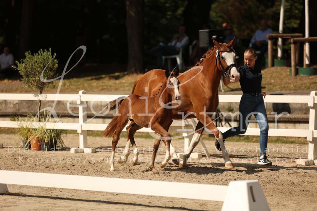 08.DoRPS00068 | Leoni Ertmer Photography - Realisiert mit Pictrs.com