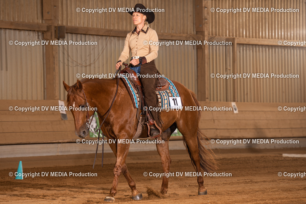 NID00393 | dv-media-shop - Realisiert mit Pictrs.com