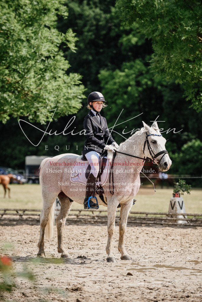 DSC_0507 | Pferde- und Turnierfotografie in Westsachsen. Pferdeportraits, Auftragszeichnungen und intuitive Kunst.