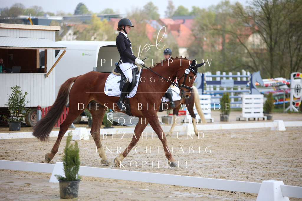 IMGT3531 | pl-fotografie