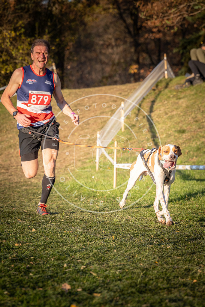 CaniXpix_0L8A1132 | Hundefotografie, Tierfotograf, Pfotenfotografie, Fotoshooting Hund, Hunde Portrait, Hundesport, Hundeportraits, Heideshooting, Hunde, Sportfotograf, Hundefotograf, Turnierhundsport, THS,  - Realisiert mit Pictrs.com
