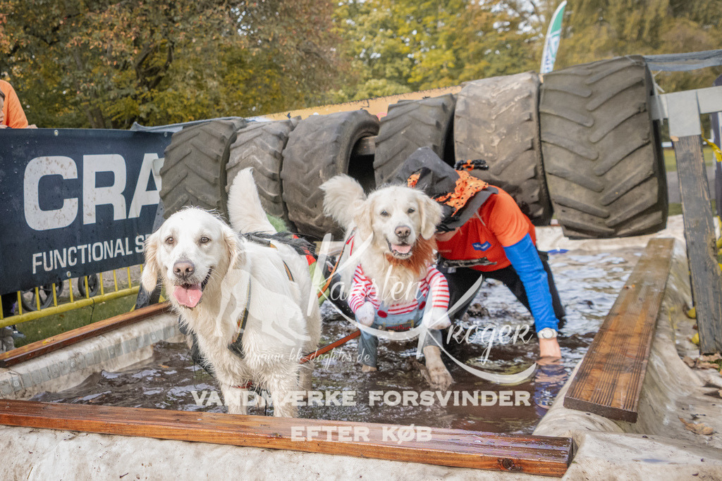 1447_ZZ90171 | kk-dogfotos