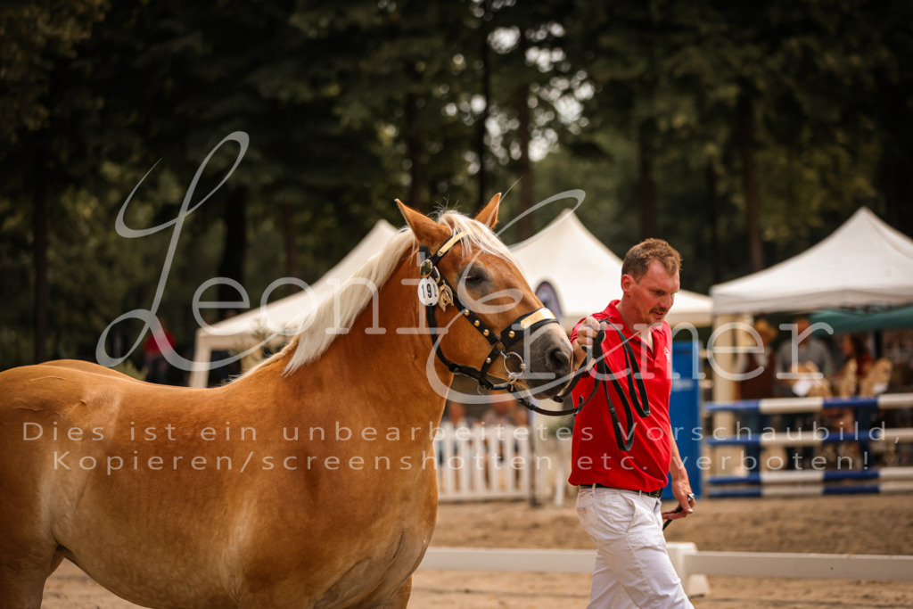 4.Sa00002 | Leoni Ertmer Photography - Realisiert mit Pictrs.com