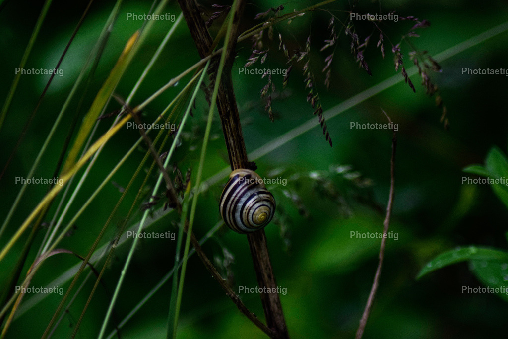 IMG_3314 | phototaetig