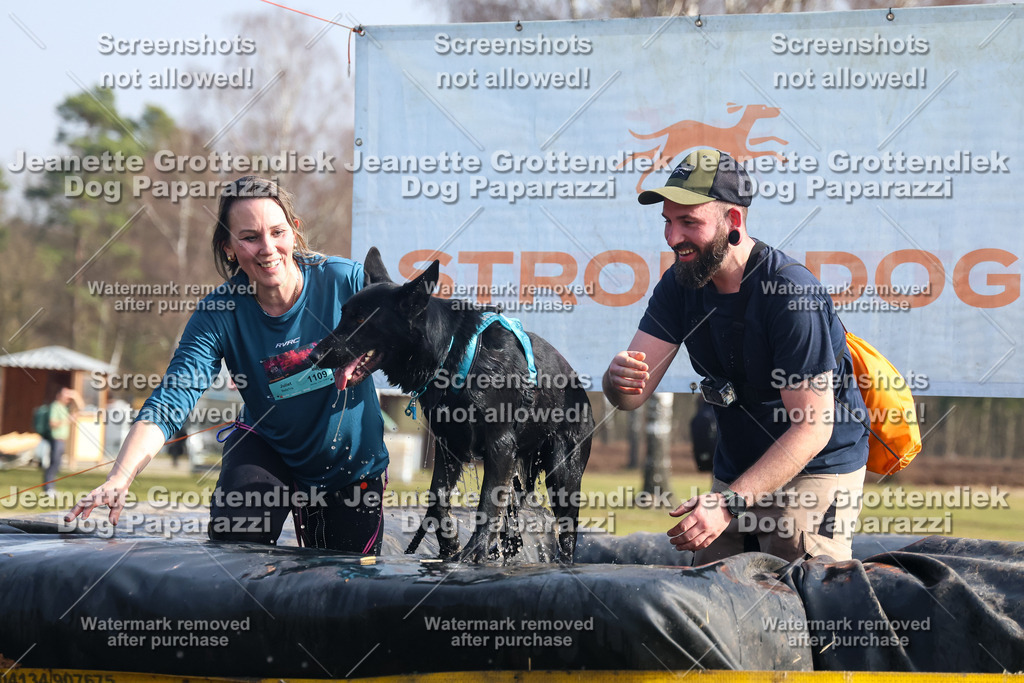 Dog Paparazzi - Strongdog North Mrz26-1700 | Dog Paparazzi Jeanette Grottendiek Fotografie & Videografie - Realisiert mit Pictrs.com