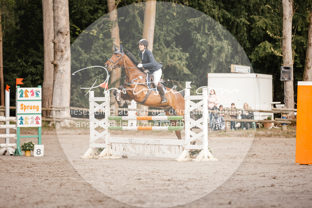 3I6A3292 | Stimmungsvolle Portraits und Reitsportfotografie im Ruhrgebiet und im Münsterland.

Pferdefotografie, Hundefotografie, Tierfotografie, Reportagen, Portraits von Tier und Mensch, Turnierfotografie in Bochum, Recklinghausen, Marl, Haltern am See, Dülmen.. - Realisiert mit Pictrs.com