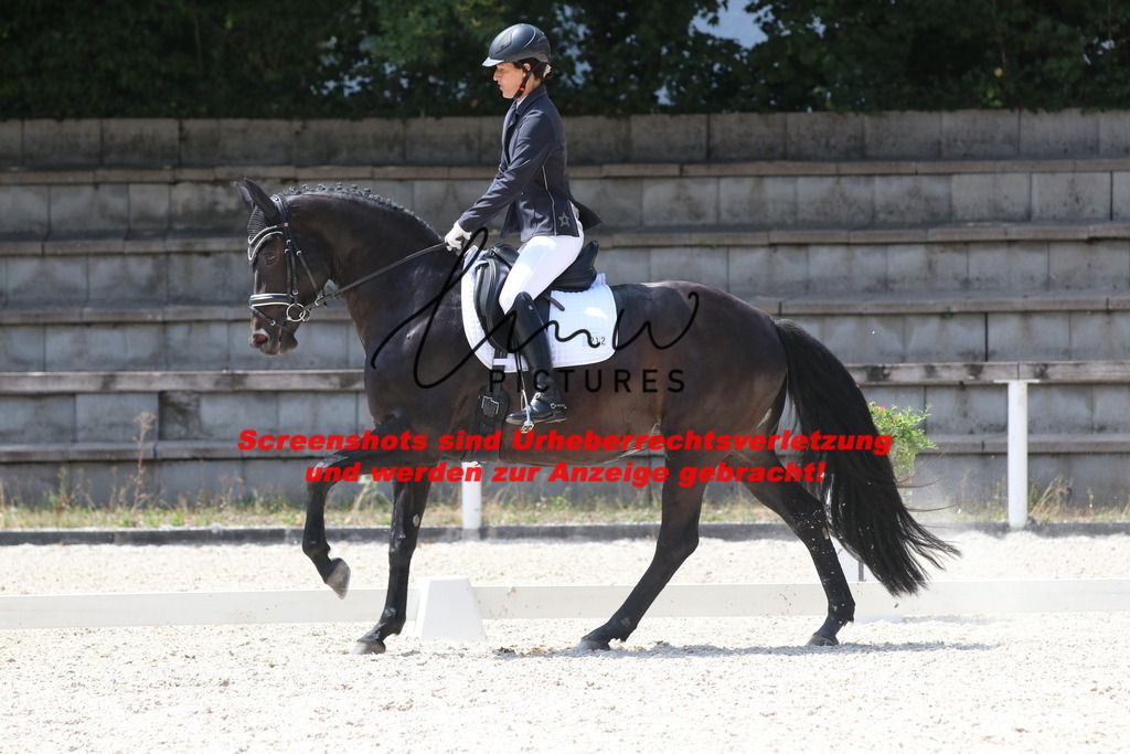 IMG_4766 | lmwpictures - Realisiert mit Pictrs.com