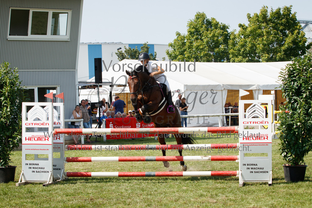 IMG_3552 | P. Berger Fotografie - Realisiert mit Pictrs.com