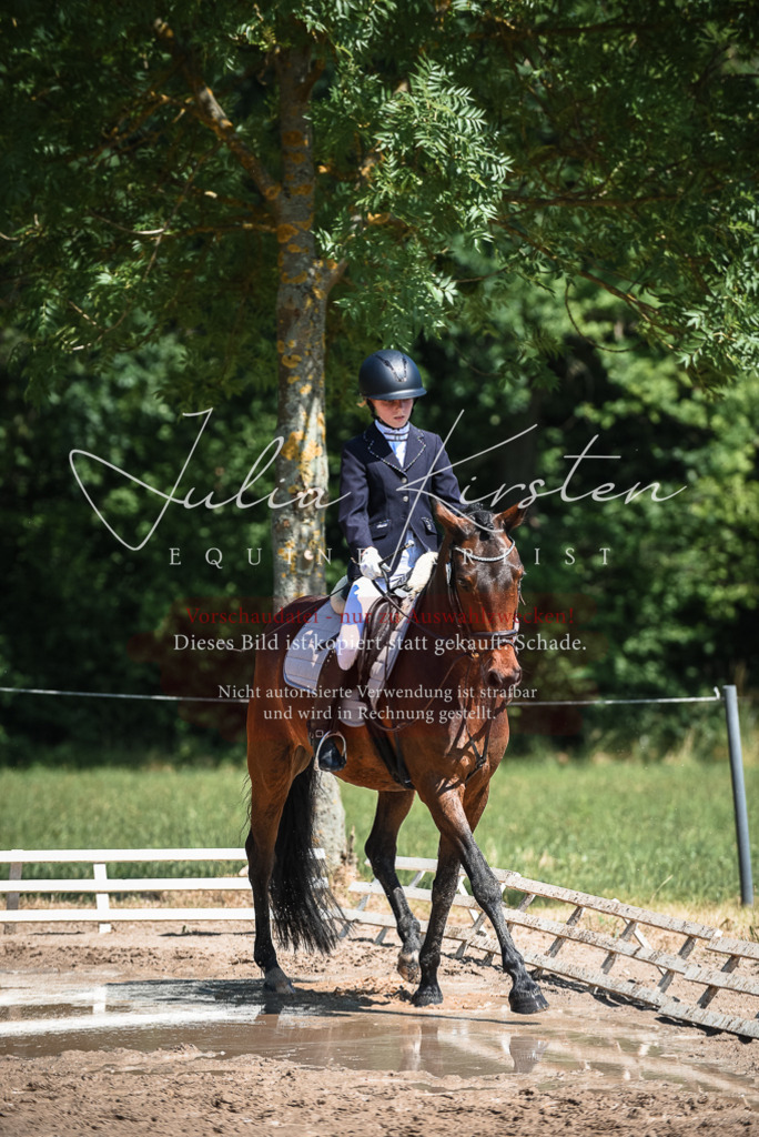 DSC_3318 | Pferde- und Turnierfotografie in Westsachsen. Pferdeportraits, Auftragszeichnungen und intuitive Kunst.