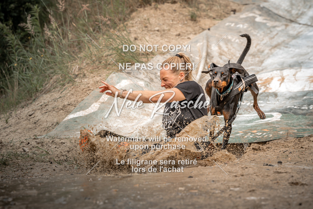 nelerasche_sa1300-1345_449 | nelerasche