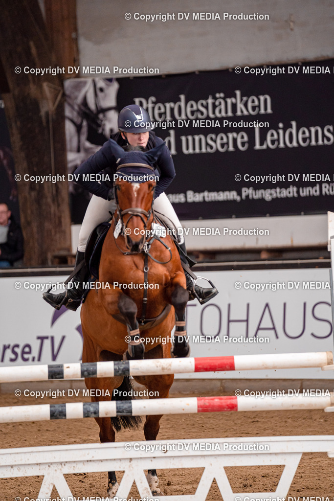 Kranichstein II Tag 3-383 | dv-media-shop - Realisiert mit Pictrs.com