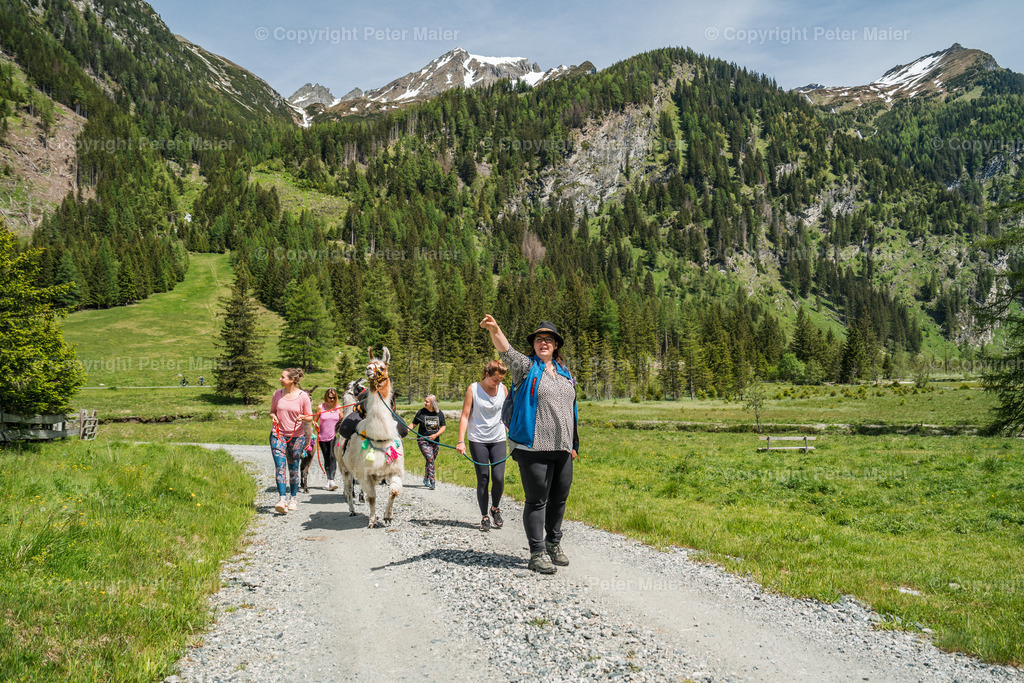 Auszeit_auf_Kärntnerisch_2024-104 | piet_flosse