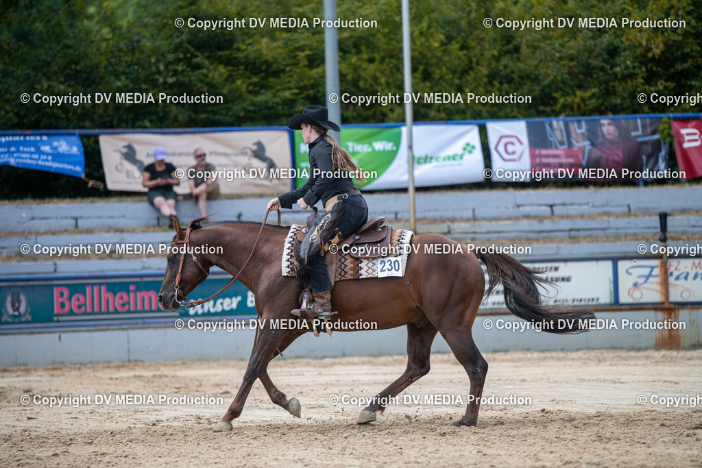 ZS3_9838 | dv-media-shop - Realisiert mit Pictrs.com