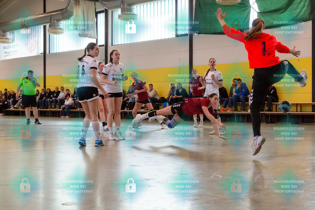 _HP_1323_3000o | JSG Welling-Bassenheim gegenAG AV 64 Zweibrücken 09.03.2024