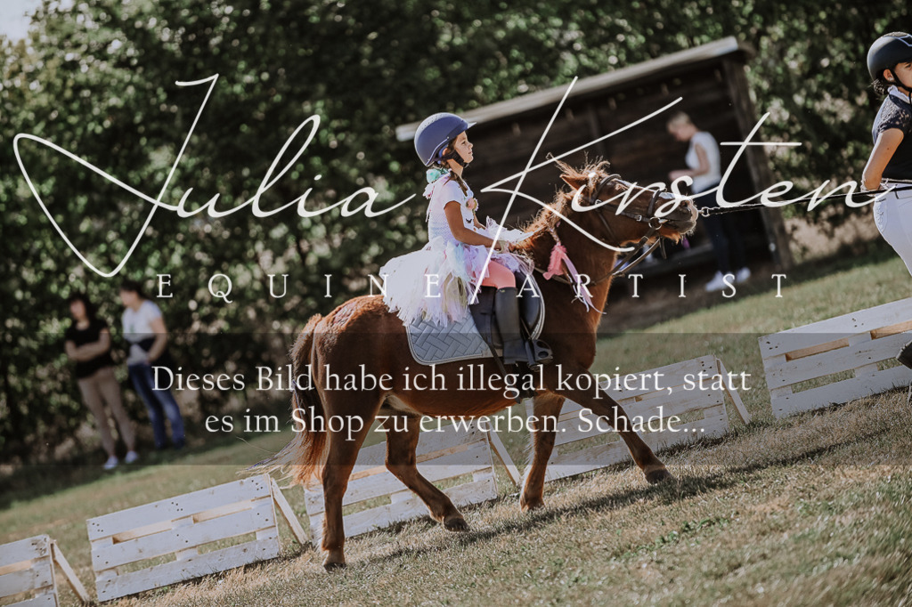 DSC_9172 | Pferde- und Turnierfotografie in Westsachsen. Pferdeportraits, Auftragszeichnungen und intuitive Kunst.
