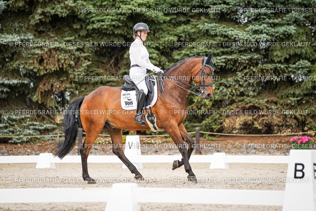 DSC06704 | Pferdegrafie