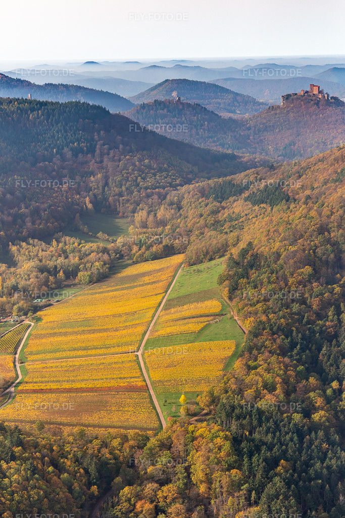 Luftbild: Herbstluftbild der Burgen Trifels, Scharfeneck und Anebos über dem Pfälzerwald vom Birnbachtal aus gesehen in Annweiler am Trifels im Bundesland Rheinland-Pfalz in Deutschland. Foto: IMG_123736.jpg vom 07.11.2020 durch Werner Riehm/FLY-FOTO.de