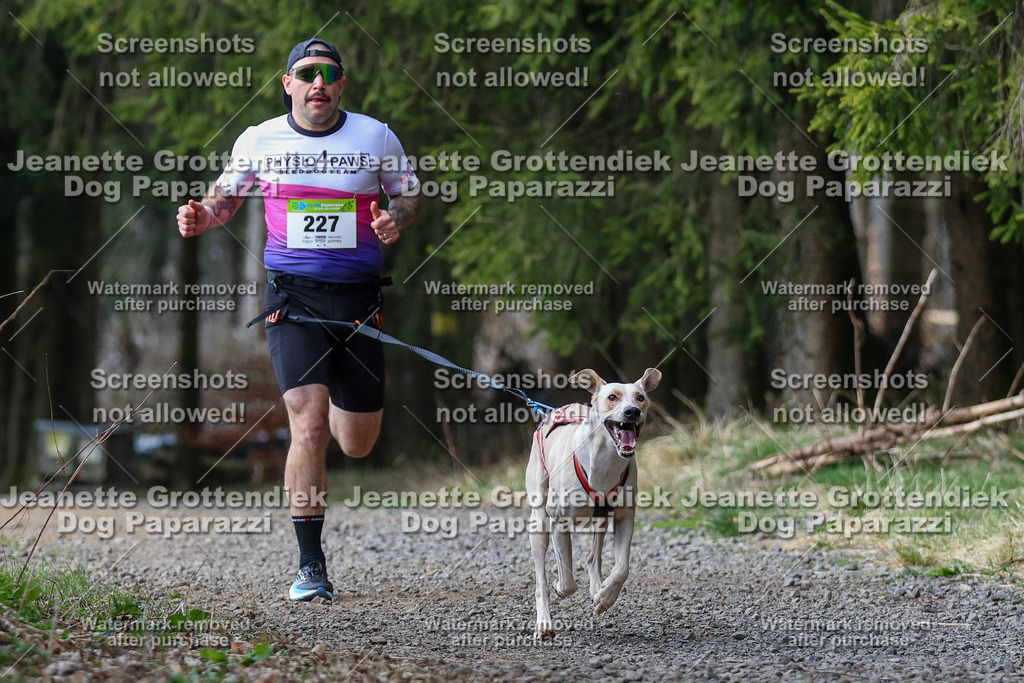 Dog Paparazzi - VCC26-274 | Dog Paparazzi Jeanette Grottendiek Fotografie & Videografie - Realisiert mit Pictrs.com