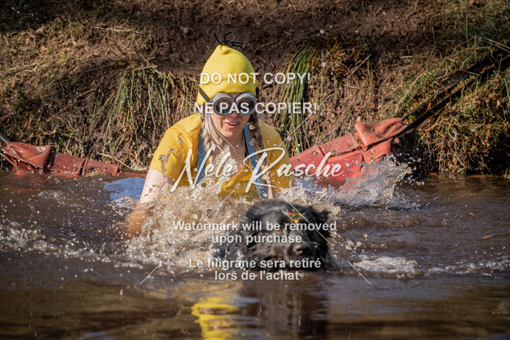 nelerasche_FS1330-1400_174 | nelerasche
