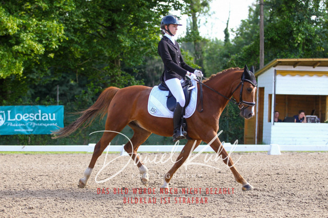 DKP43044 | Turniersportfotografie; Pferdefotografie; Dressurfotografie