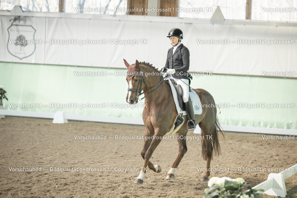 _D5A1216 | Emotionale Pferde- & People-Fotografie rund um Heidelberg, Leimen & Umgebung. Natürliche Fotos von Pferd, Mensch & Familie. Jetzt Termin sichern!