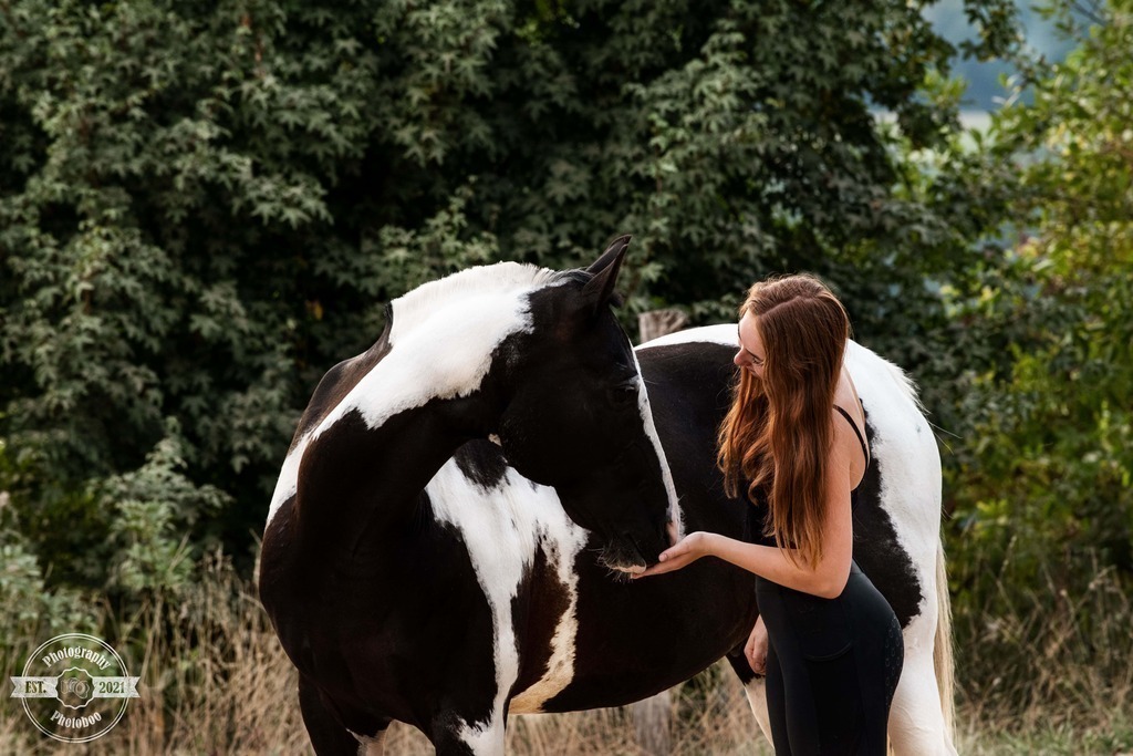 Lieblingsbilder_Photoboo_7 | Pferde- und Hundefotografie in Köln und Umgebung von Vanessza Csuka - Realisiert mit Pictrs.com