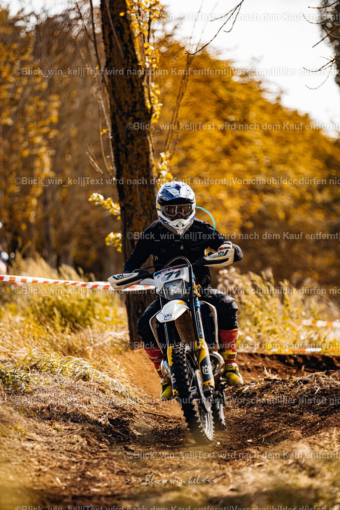 E68A2511 | blick_win_kel