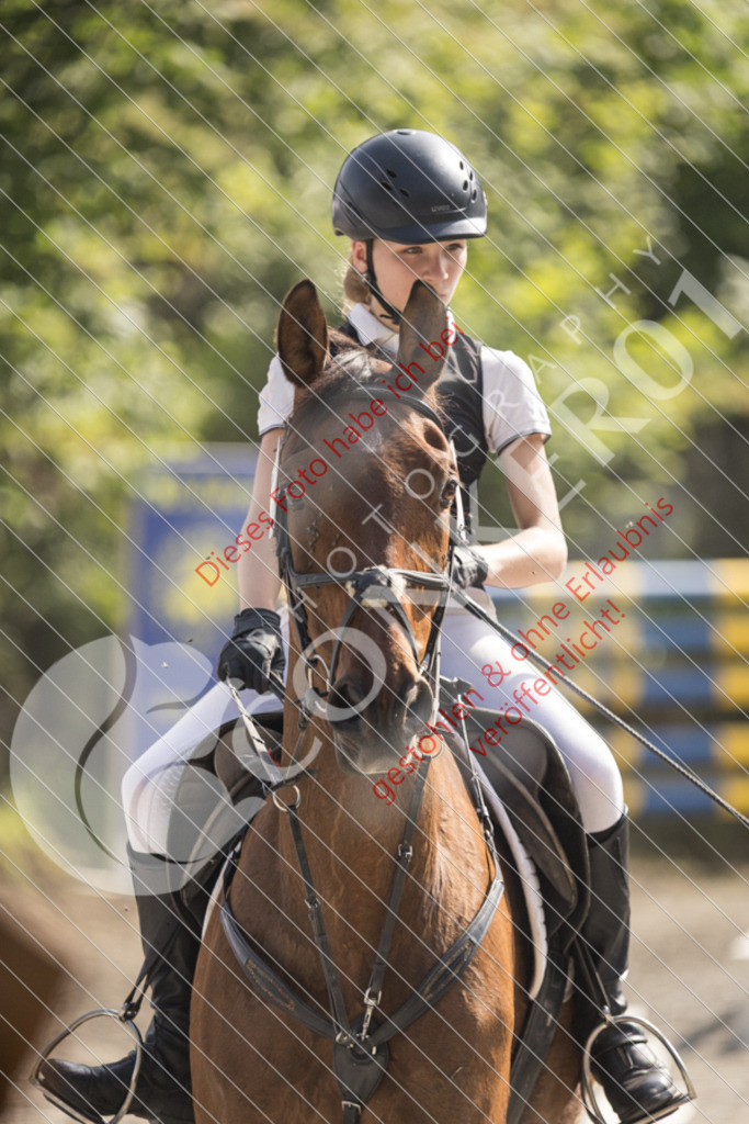 IMG_5733 | Sport-, Event- und Tierfotos in Profiqualität. Einfach auswählen, bestellen und herunterladen. Dein Moment – perfekt festgehalten.