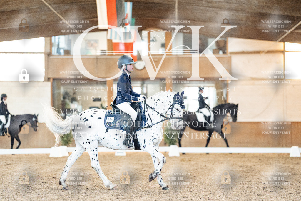 CK906849 | Turnierfotografie Pferdefotografie Trier Rheinland-Pfalz Pferdesport Reitsport Tierfotografie Sportfotografie Pferdevideo Pferdevideografie Equestrianvideography equestrianphotography  - Realisiert mit Pictrs.com