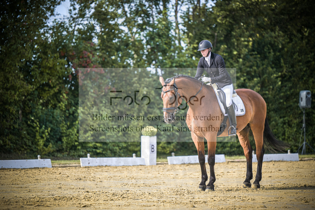DOS_8399 | Entdecke hochwertige Reitturnierfotos von Foto Oger. Professionell, emotional und authentisch – jetzt Lieblingsmomente im Shop bestellen.Deutschlandweite Turnierfotografie. - Realisiert mit Pictrs.com