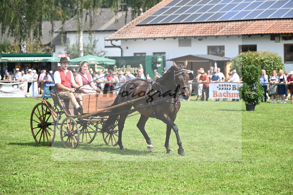 Rottaler Gespann_34240799 | hf-fotografie - Realizzato con Pictrs.com