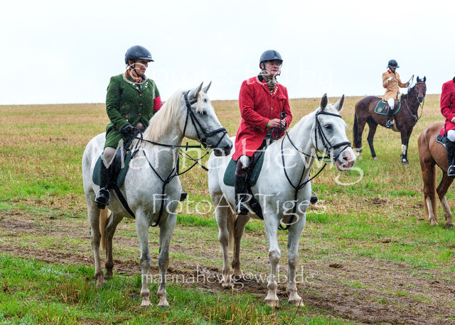 Jagd Kletkamp 26-02952_MarinaHewig | Fotografie, FotoArt, PferdesportArt, Pferdesportfotografie, Landschaftsfotografie, Reisefotografie, Reise, Pferde - Realisiert mit Pictrs.com