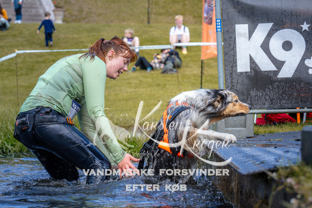 _ZZ999561059 | kk-dogfotos