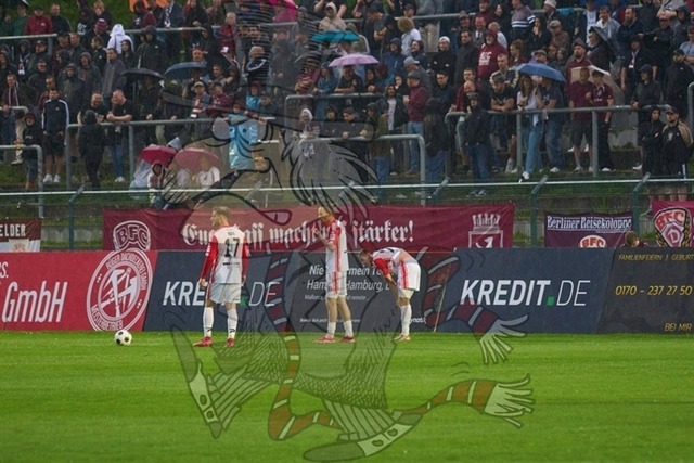 BFC Dynamo vs. Hallescher FC 088 | mythos-online-redaktion