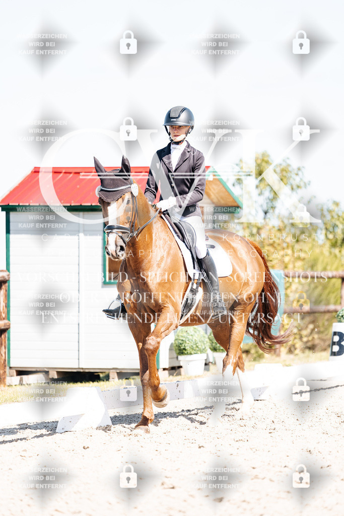 CK903953 | Turnierfotografie Pferdefotografie Trier Rheinland-Pfalz Pferdesport Reitsport Tierfotografie Sportfotografie Pferdevideo Pferdevideografie Equestrianvideography equestrianphotography  - Realisiert mit Pictrs.com