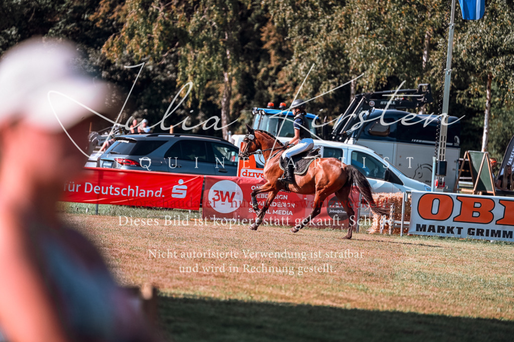 DSC_0955 | Pferde- und Turnierfotografie in Westsachsen. Pferdeportraits, Auftragszeichnungen und intuitive Kunst.