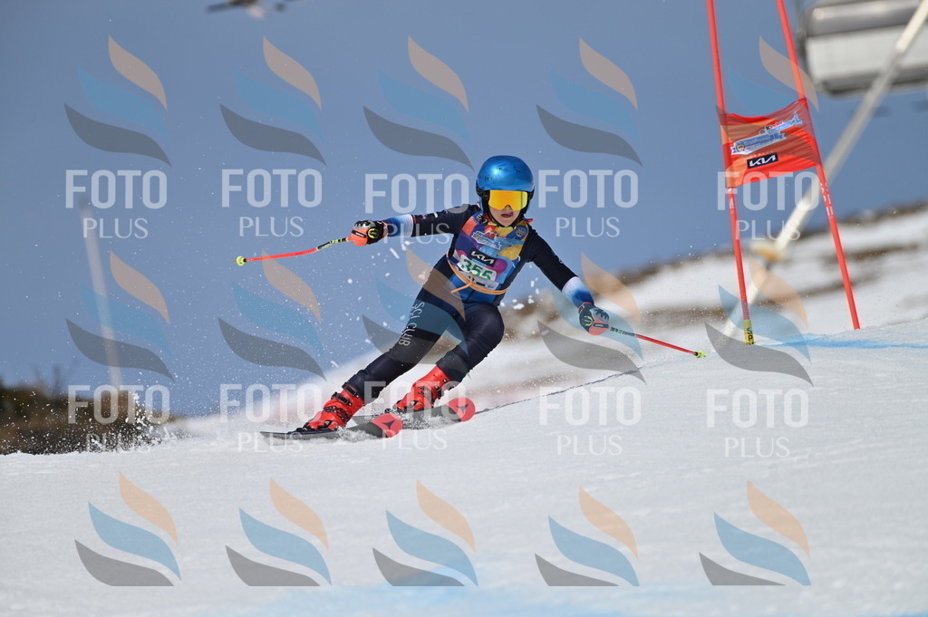 BGV_6998 | holidayphoto