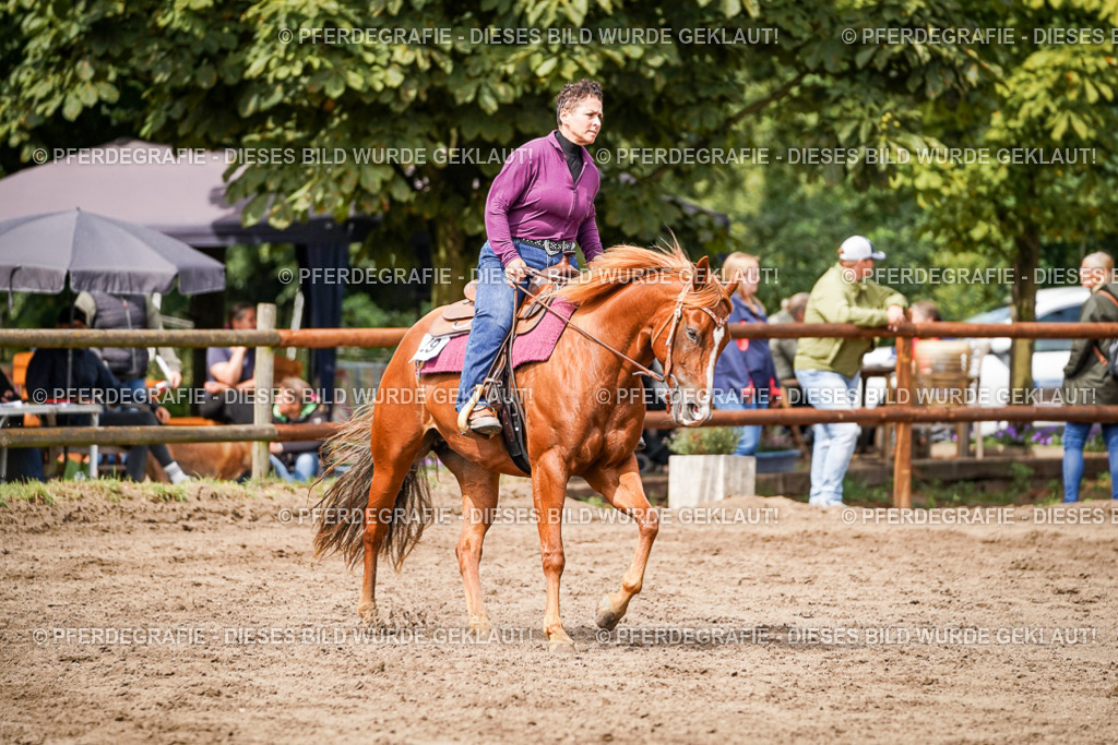 DSC07118 | Pferdegrafie