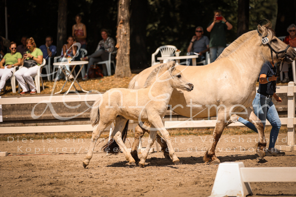 05.DoF00058 | Leoni Ertmer Photography - Realisiert mit Pictrs.com