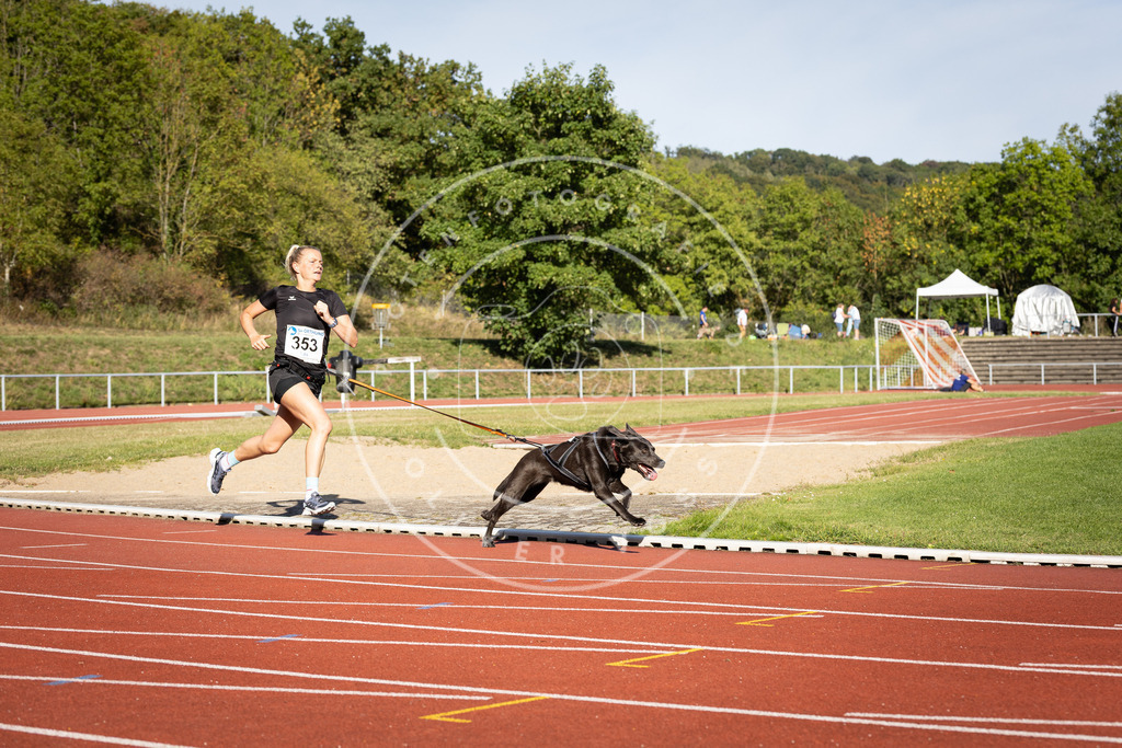 Pfotenfotografie_DV3A9536 | Hundefotografie, Tierfotograf, Pfotenfotografie, Fotoshooting Hund, Hunde Portrait, Hundesport, Hundeportraits, Heideshooting, Hunde, Sportfotograf, Hundefotograf, Turnierhundsport, THS,  - Realisiert mit Pictrs.com
