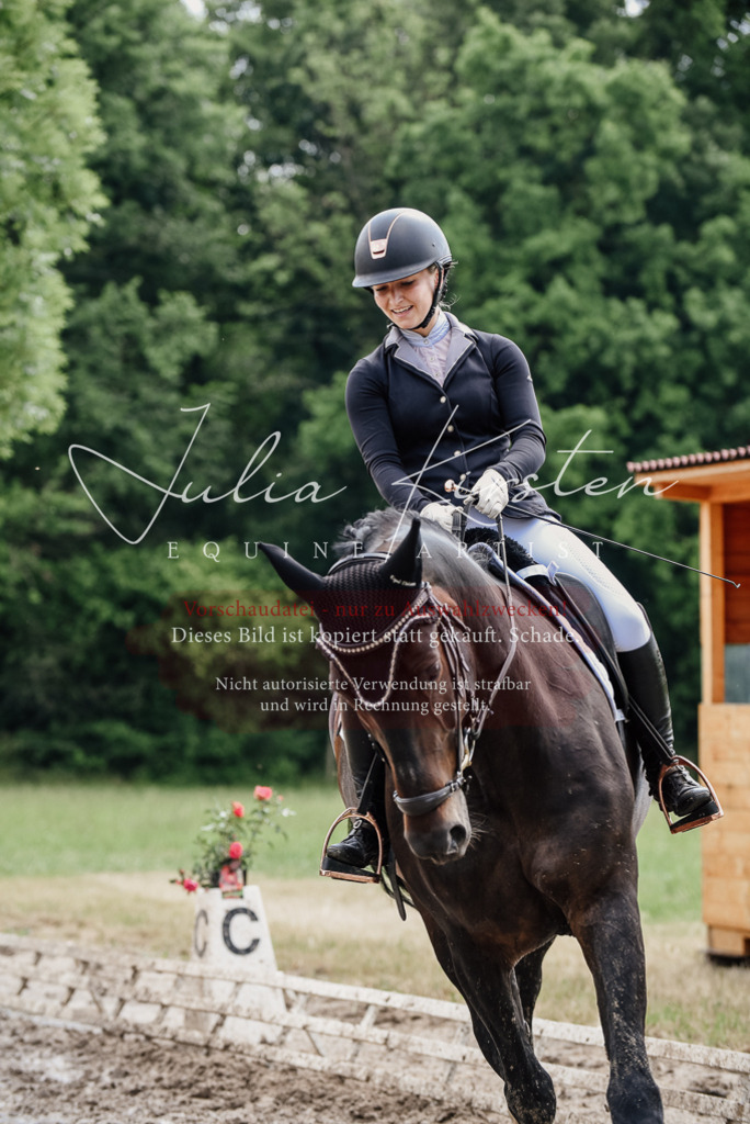 DSC_0586 | Pferde- und Turnierfotografie in Westsachsen. Pferdeportraits, Auftragszeichnungen und intuitive Kunst.
